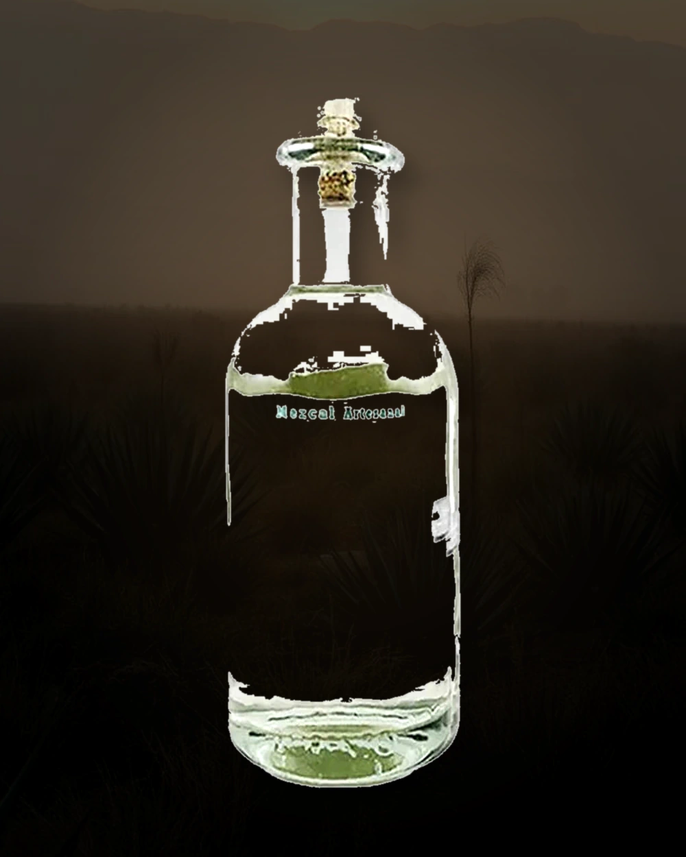 Don Lorenzo Cuishe bottle