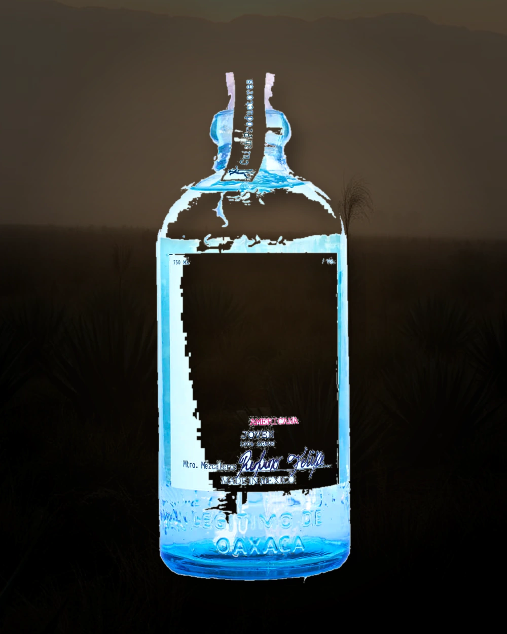 Cuish Cerrudo – Rufino Felipe Martinez bottle