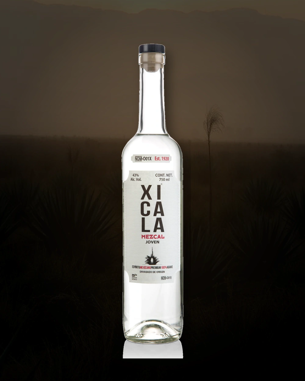 Xicala Mezcal Joven bottle