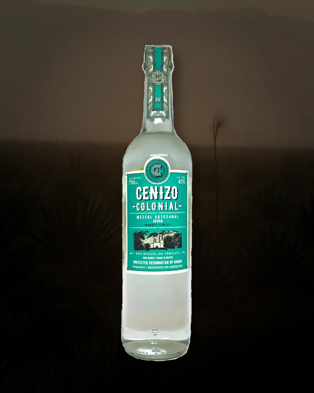 Cenizo Colonial Temoaya