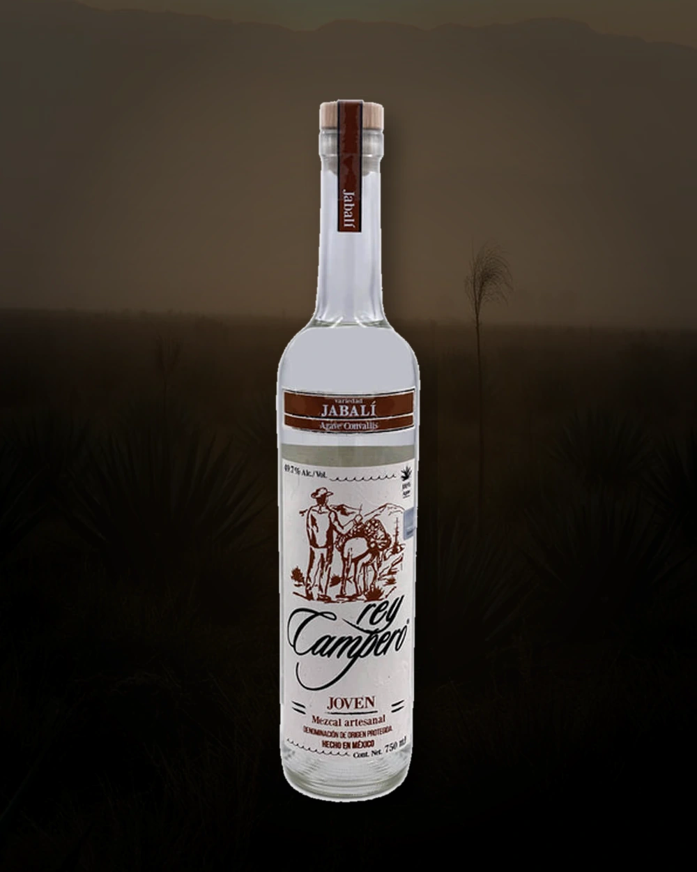Rey Campero Jabali (Clay Pot) bottle