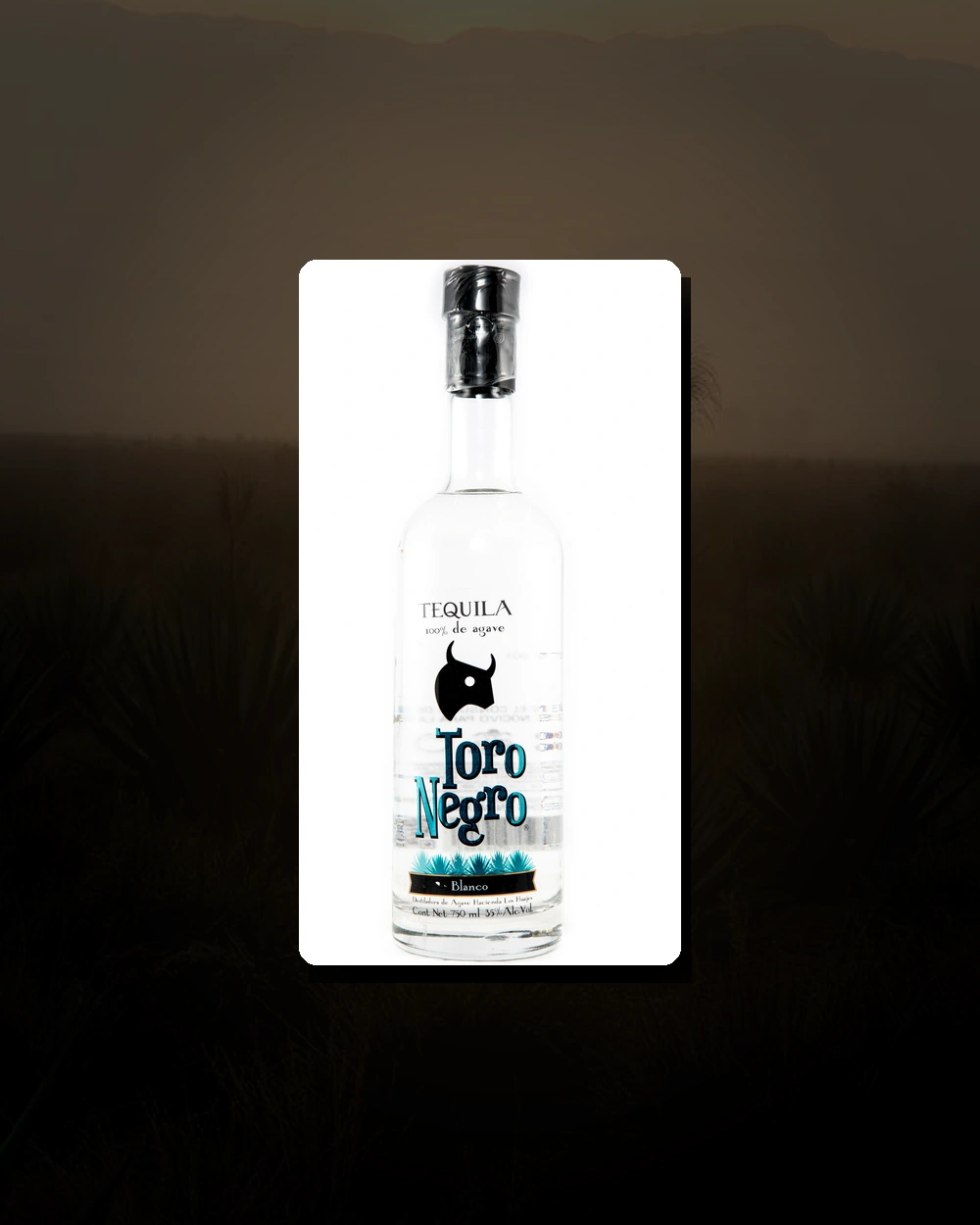Toro Negro Blanco bottle