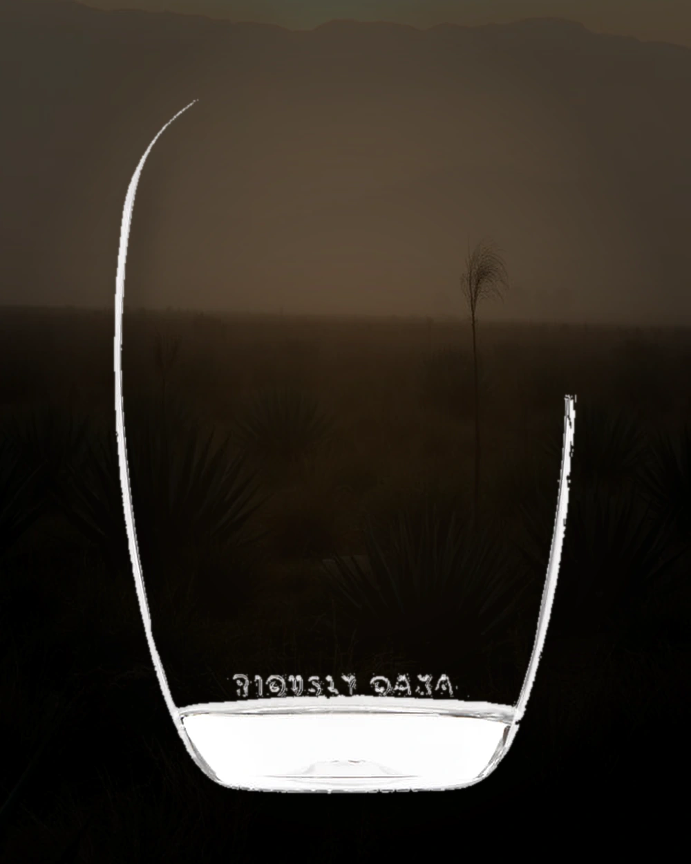 The Lost Explorer Salmiana bottle