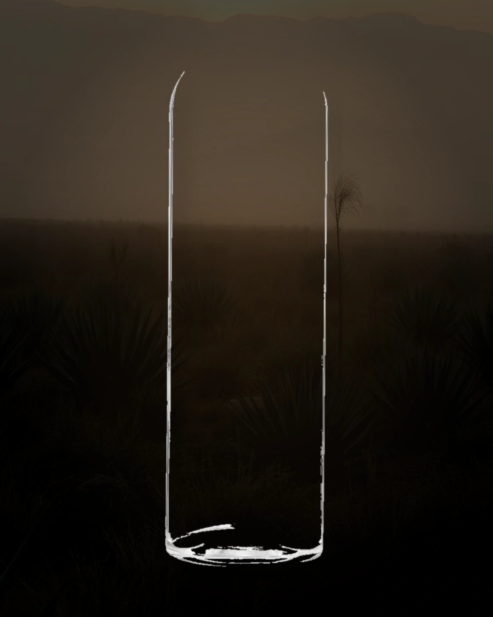 Luminar Joven bottle