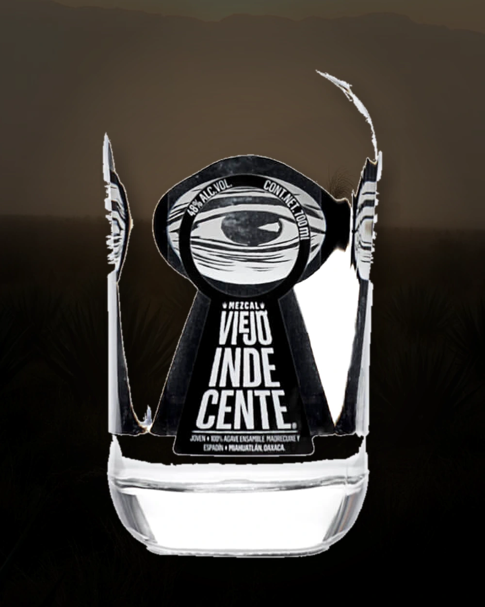 Viejo Indecente Ensamble bottle