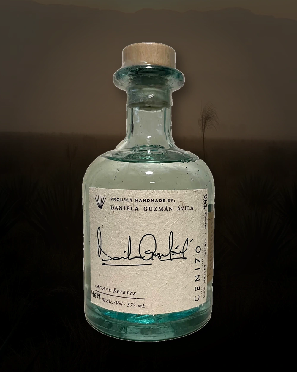 Maguey Melate Cenizo – Daniela Guzman Avila