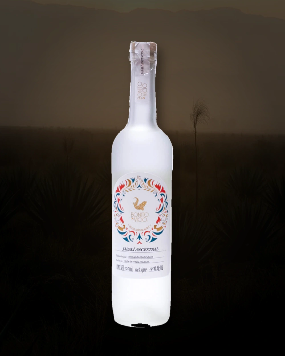 Bonito Vicio Jabalí – Armando Rodriguez bottle