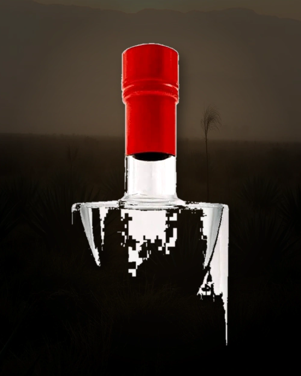 Yola Mezcal bottle