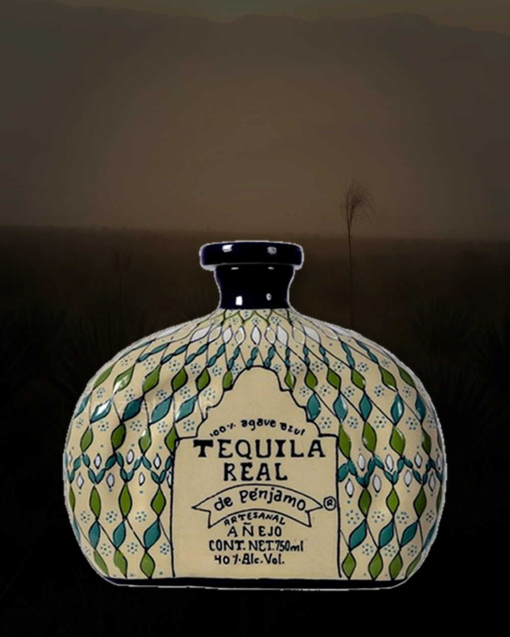 Real de Penjamo Añejo (Basica) bottle