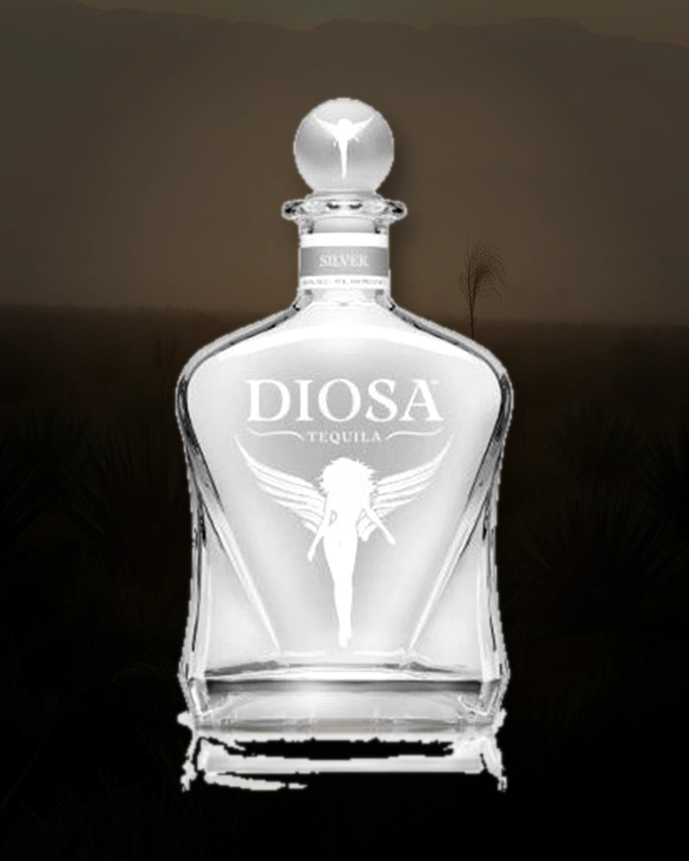 Diosa Silver bottle