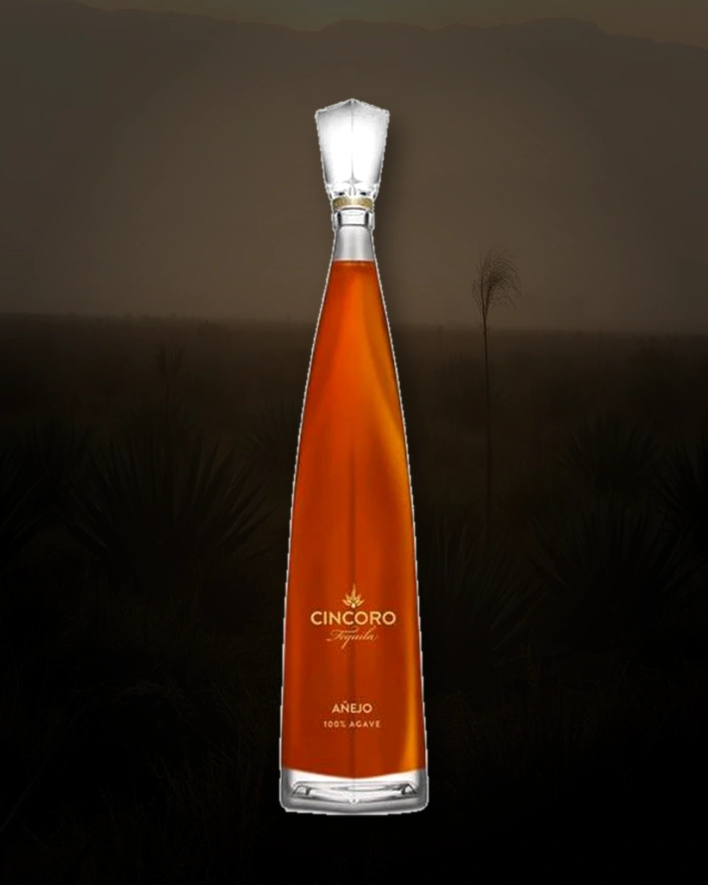 Cincoro Tequila Añejo bottle