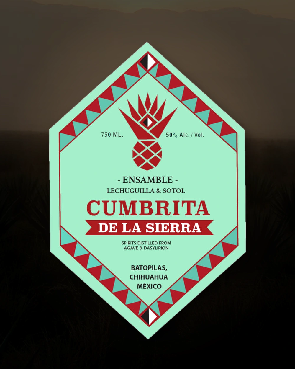 Cumbrita Lechuguilla / Sotol – Dolores Gonzales Torres