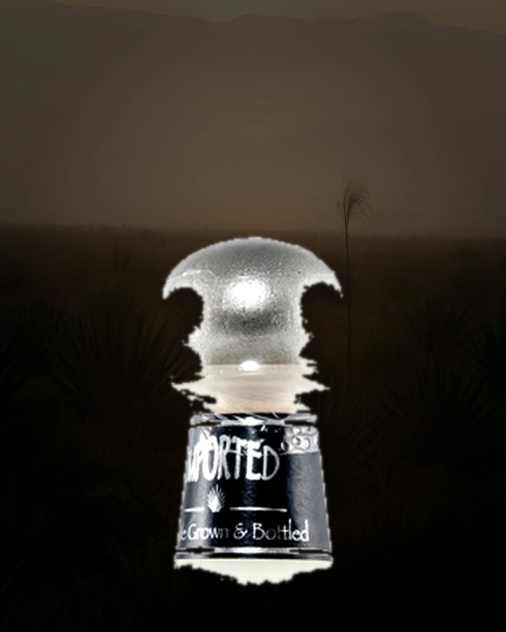 Lapis Tequila Platinum bottle