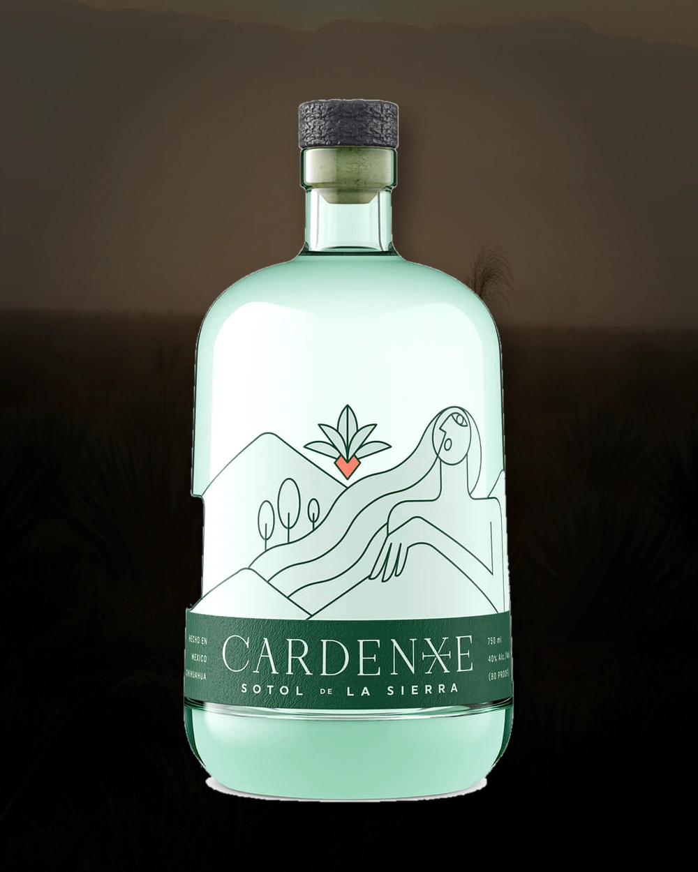 Cardenxe Sotol de la Sierra