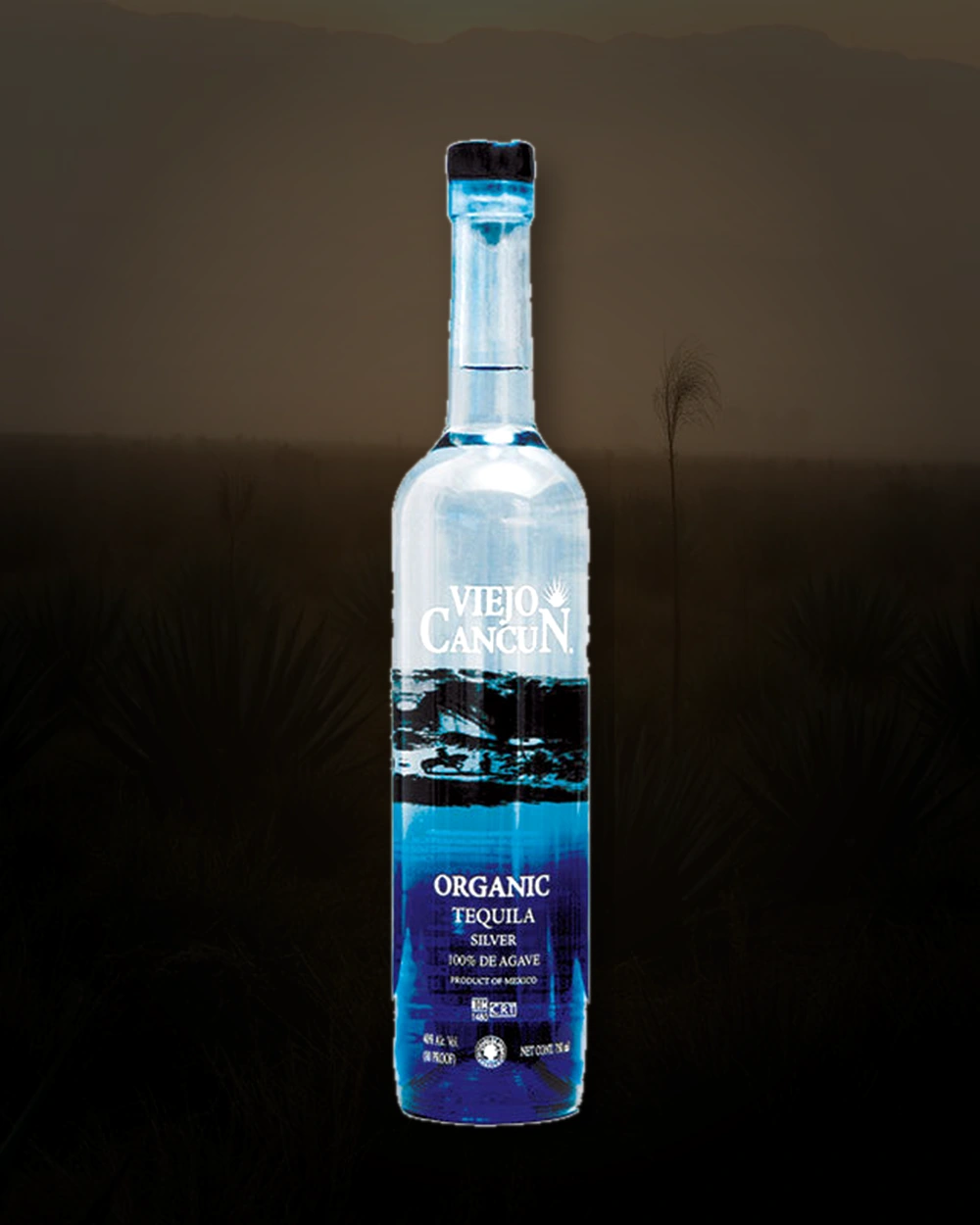 Viejo Cancun Tequila Silver bottle