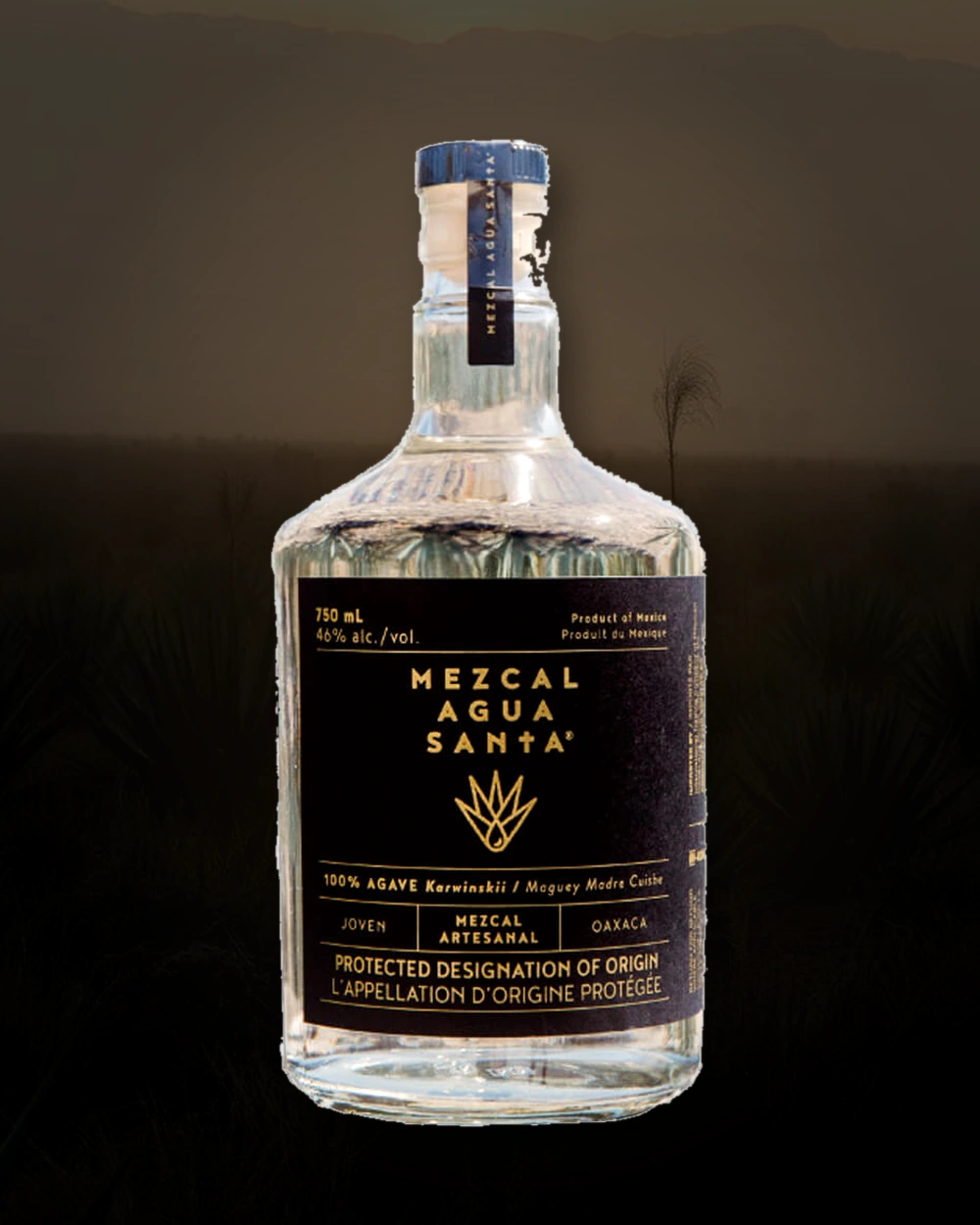 Agua Santa Madre Cuishe bottle