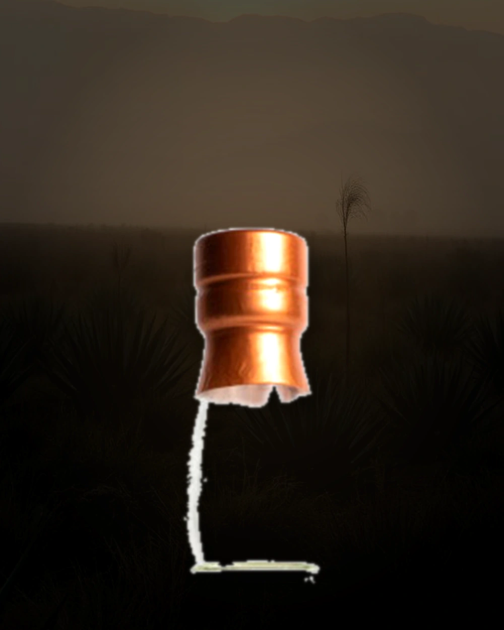 Dos Tierras Blanco bottle