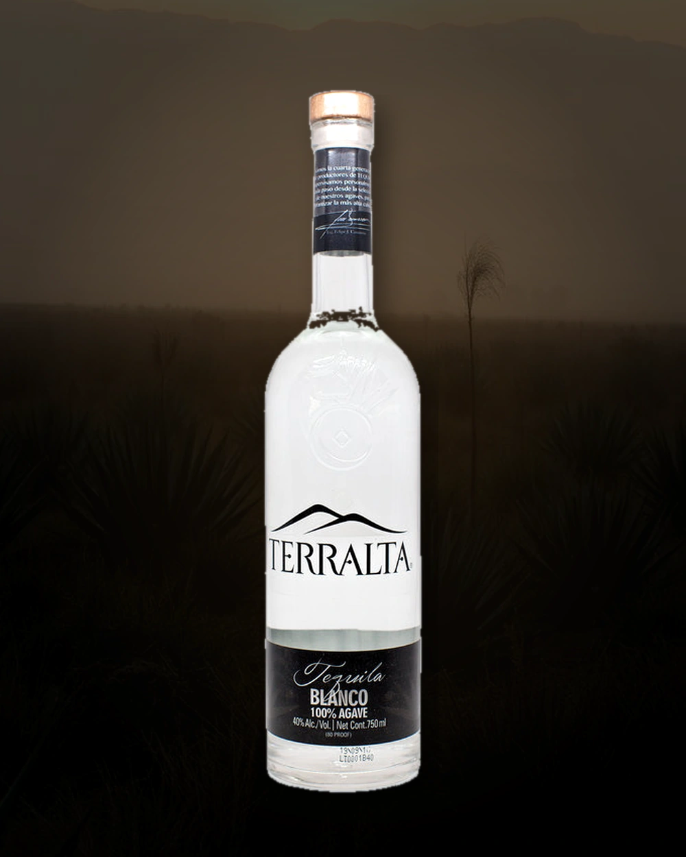 Terralta Tequila Blanco bottle