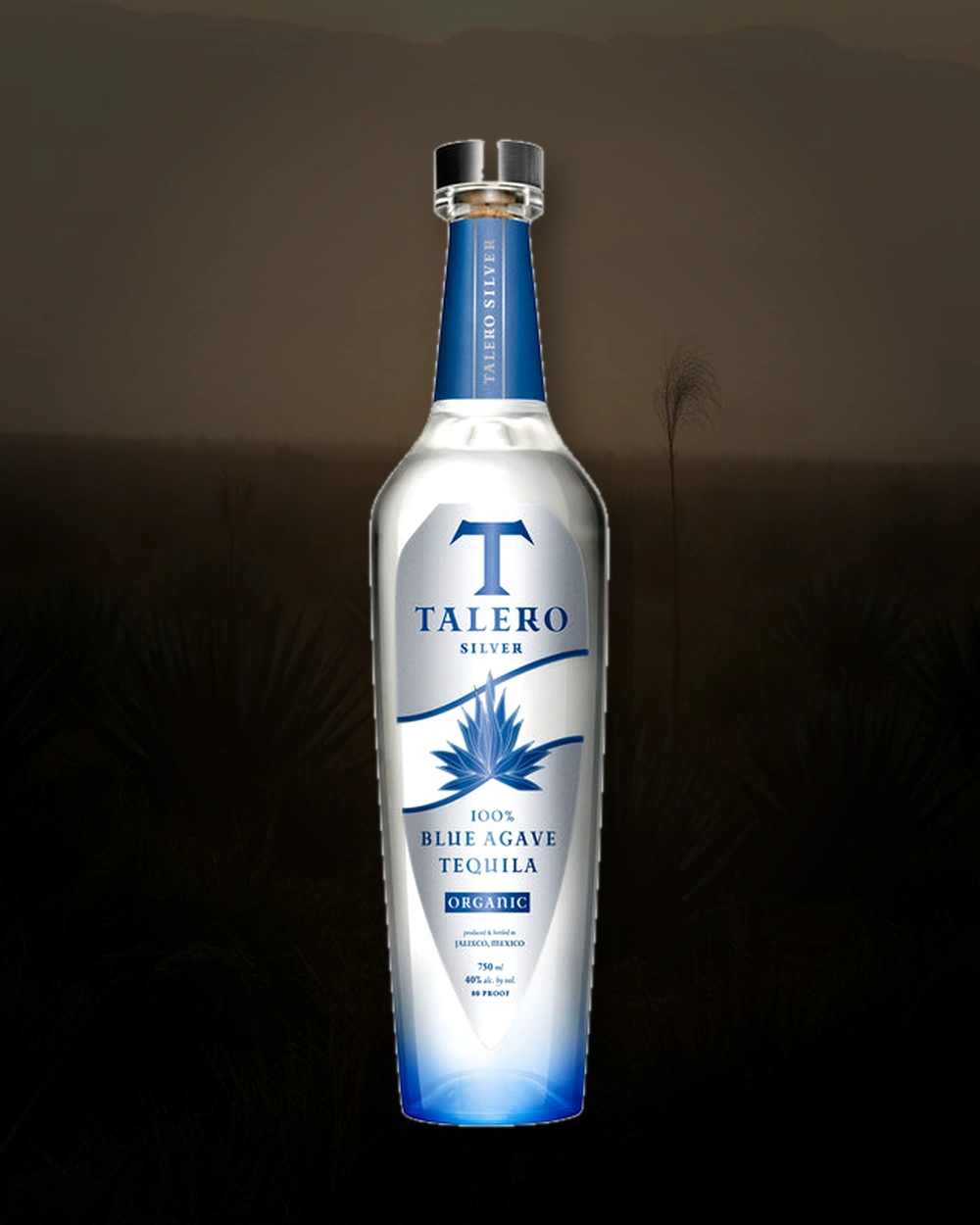 Talero Silver bottle