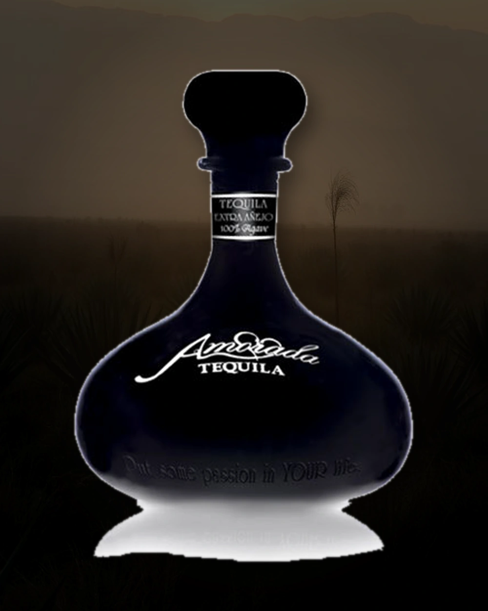 Amorada Tequila Extra Añejo bottle