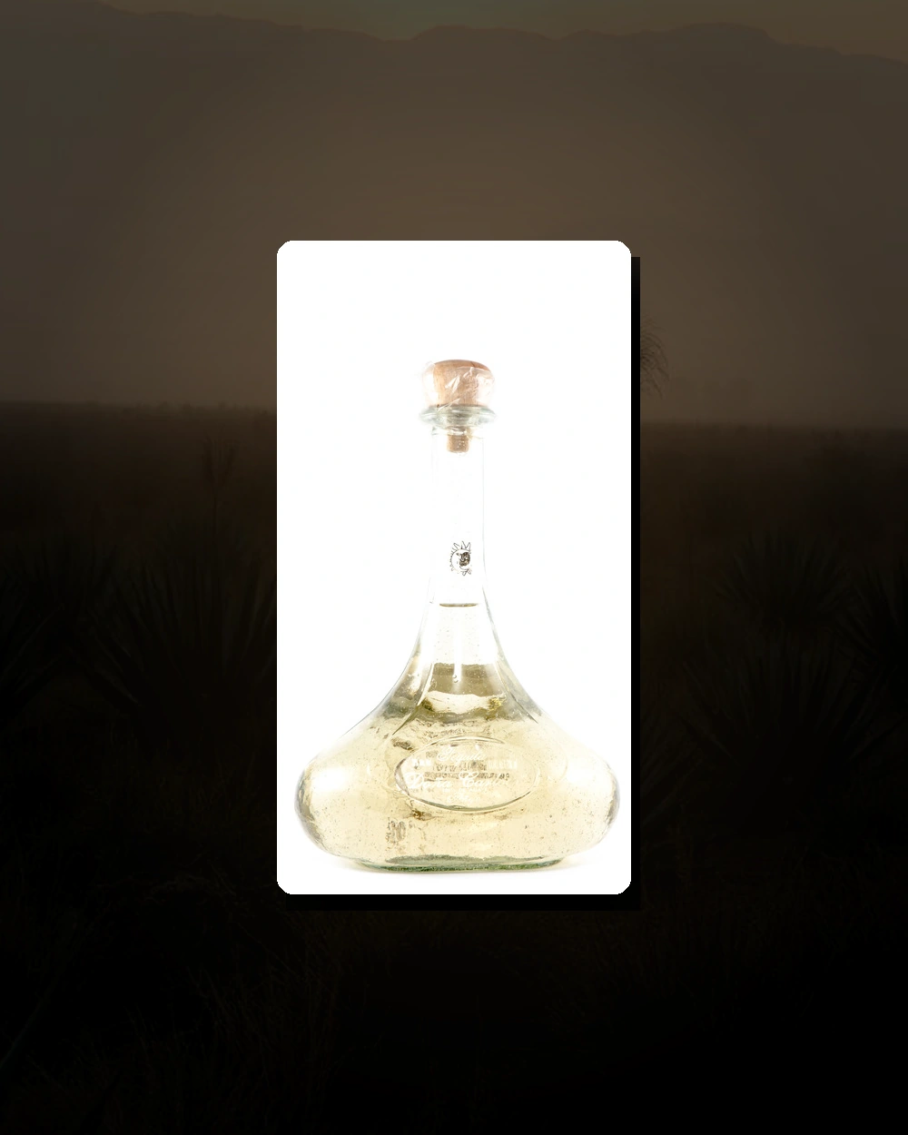 Doña Carlota Añejo bottle
