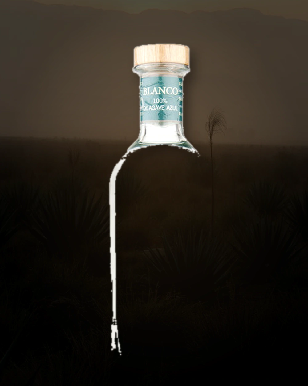 Acqua Alegre Blanco bottle