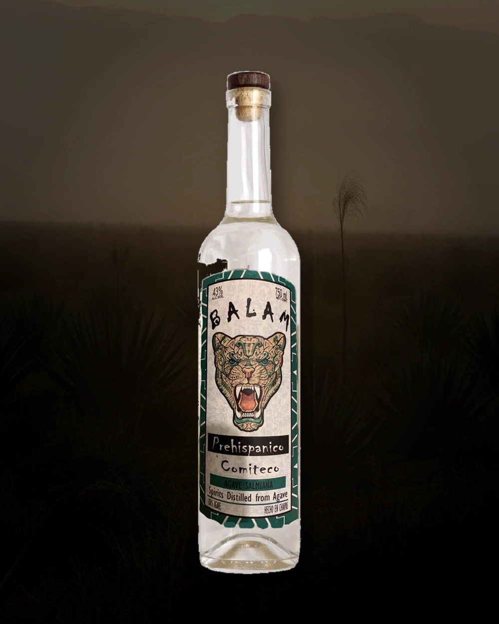 Balam Comiteco Salmiana bottle