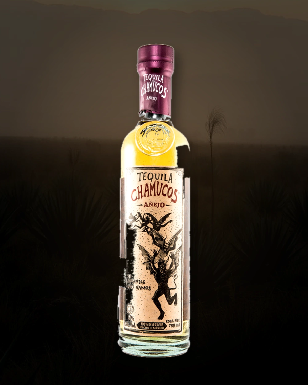 Chamucos Añejo bottle