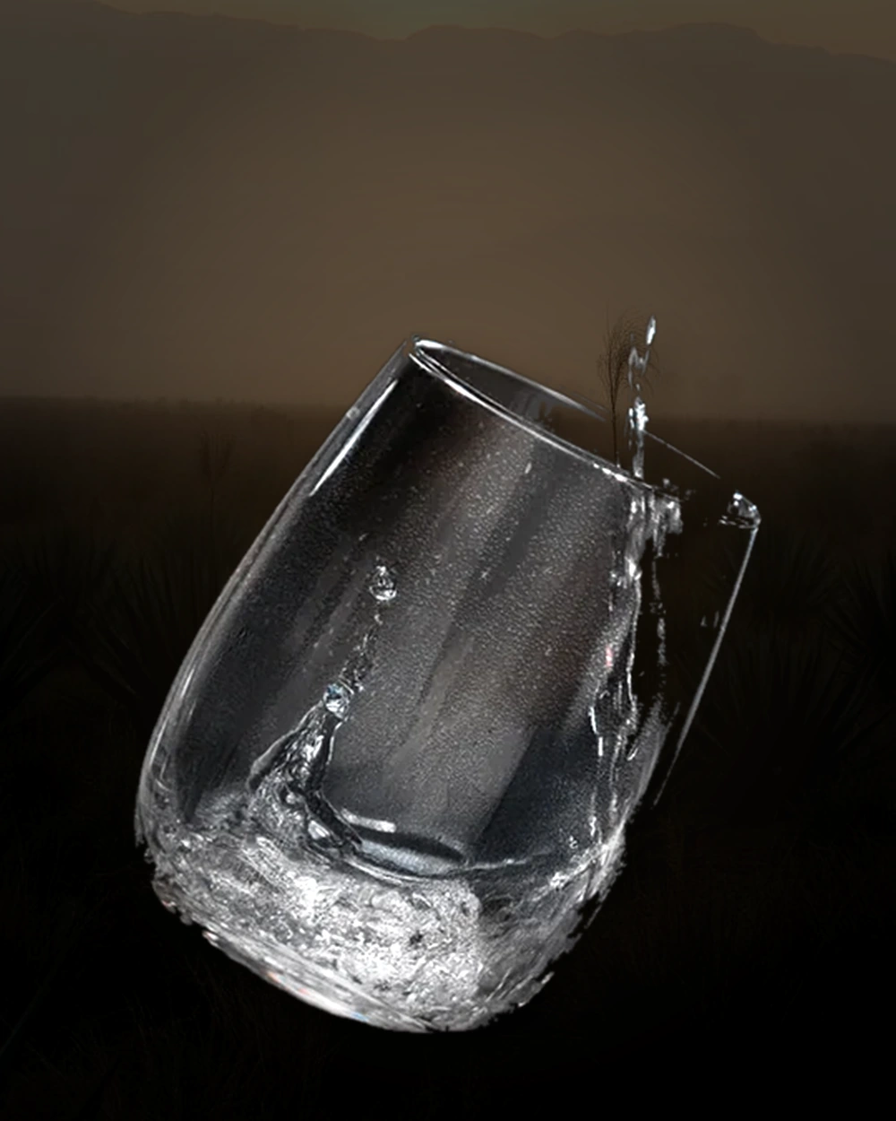 Maestro Dobel Diamante bottle