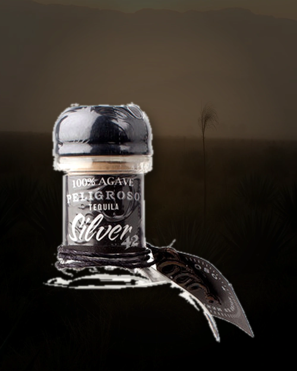 Peligroso Silver Tequila bottle