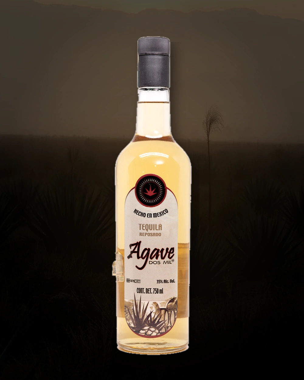 Agave Dos Mil Tequila Reposado bottle
