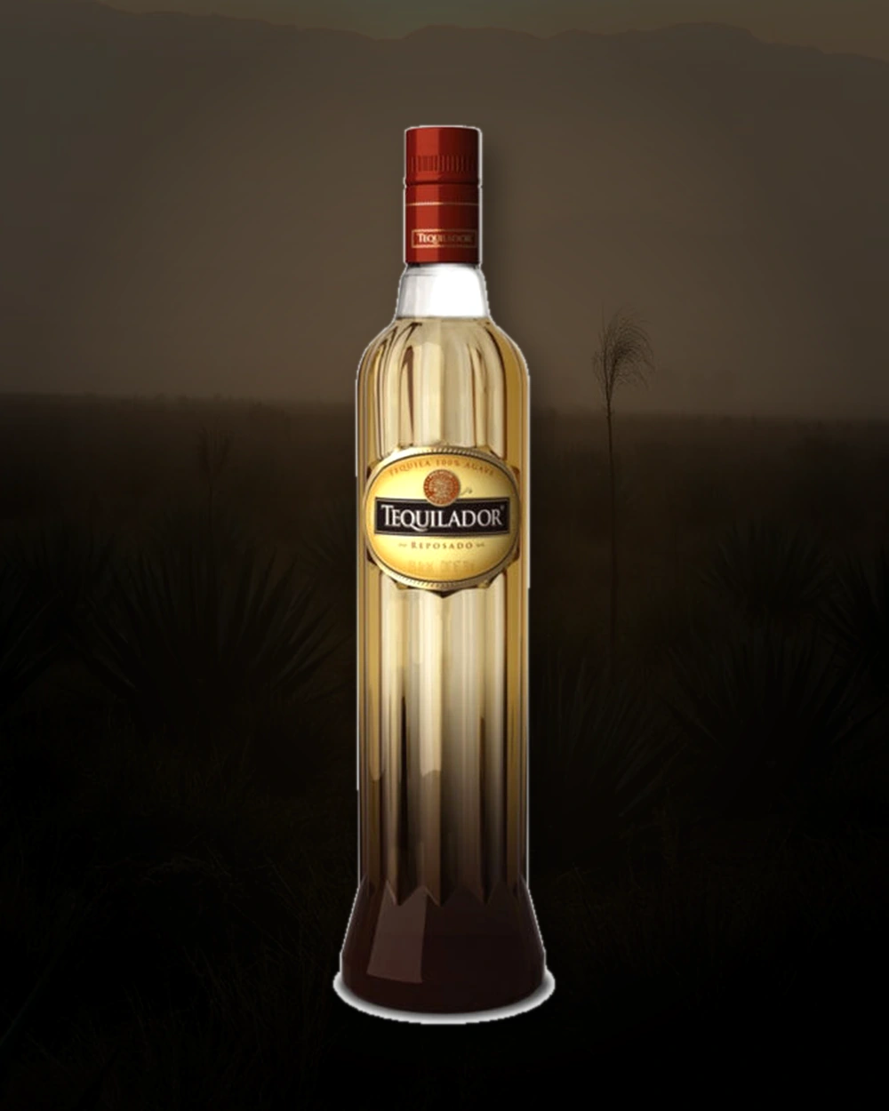 Tequilador Reposado bottle