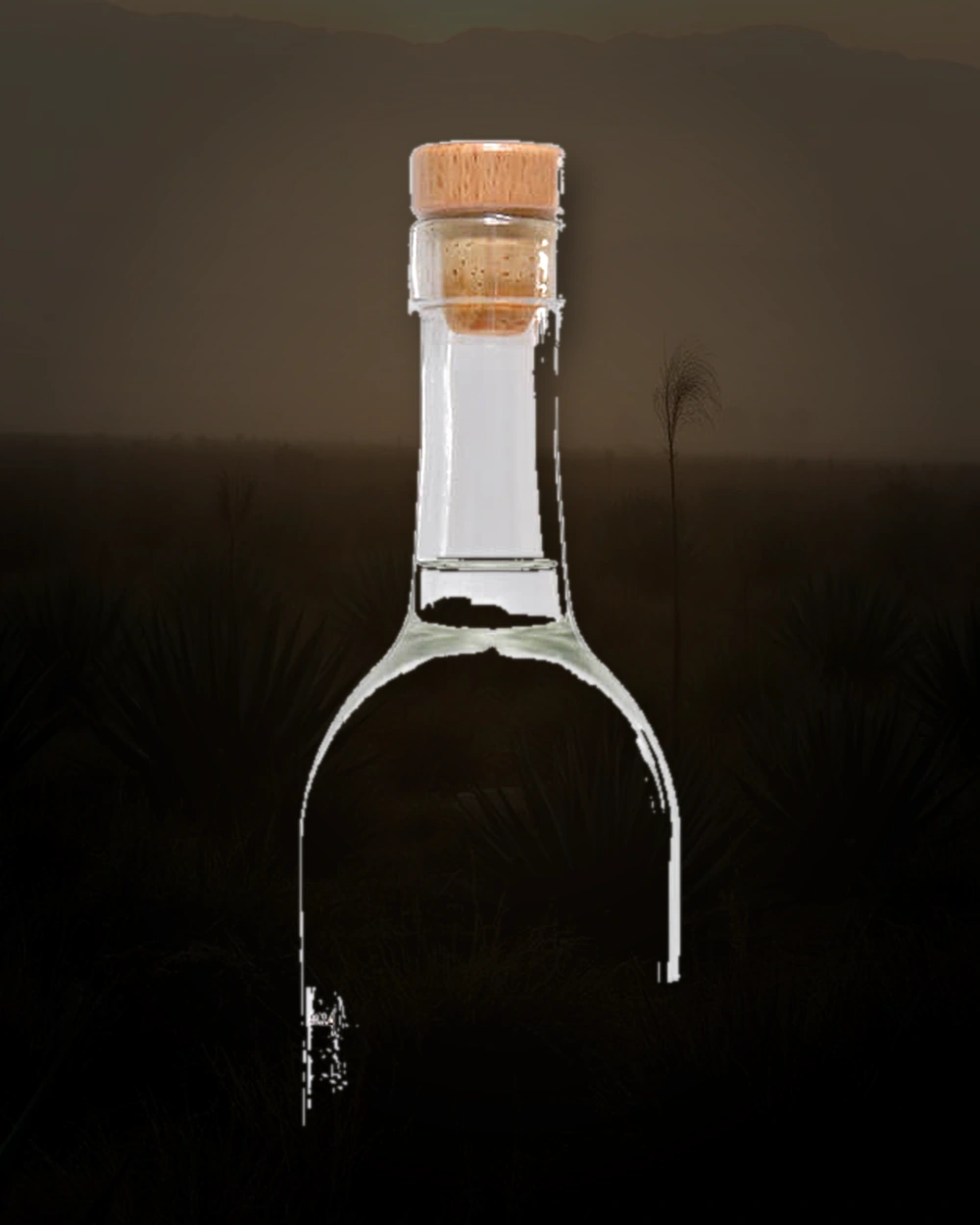 Mezcalero No. 14 bottle