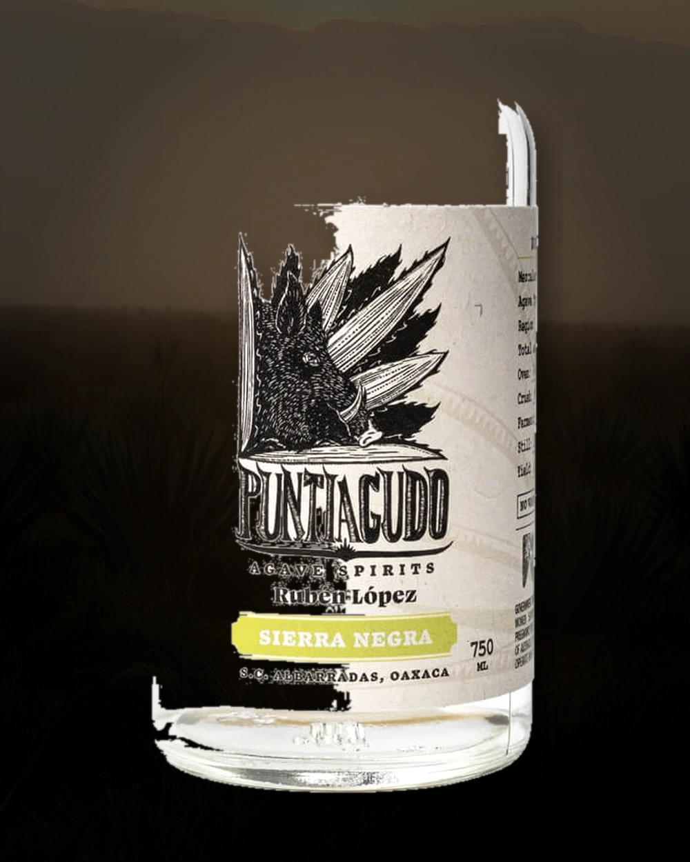 Puntiagudo Cuishe – Rolando Ángeles bottle