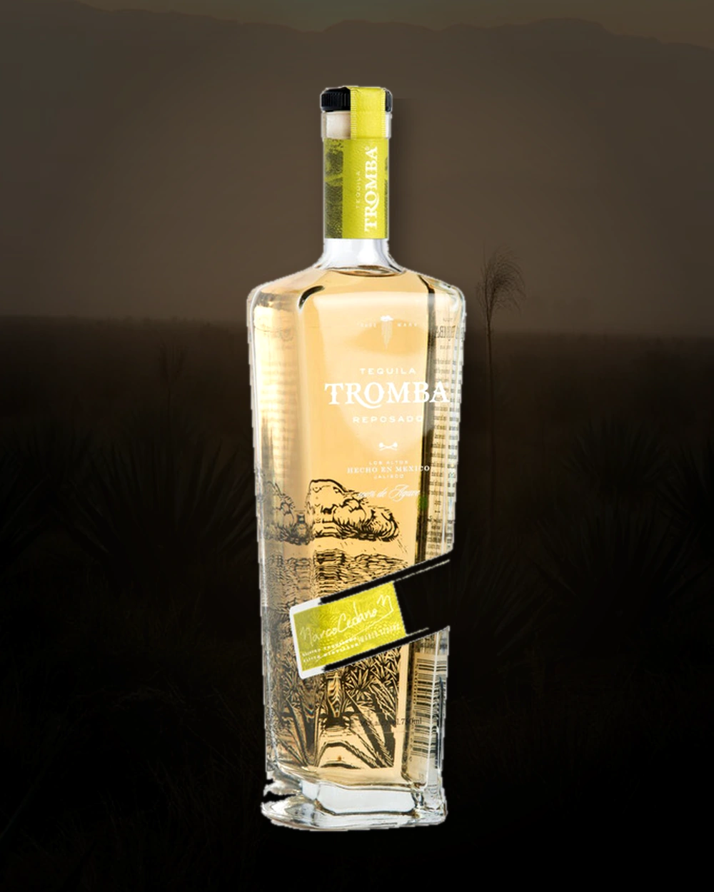 Tequila Tromba Reposado bottle