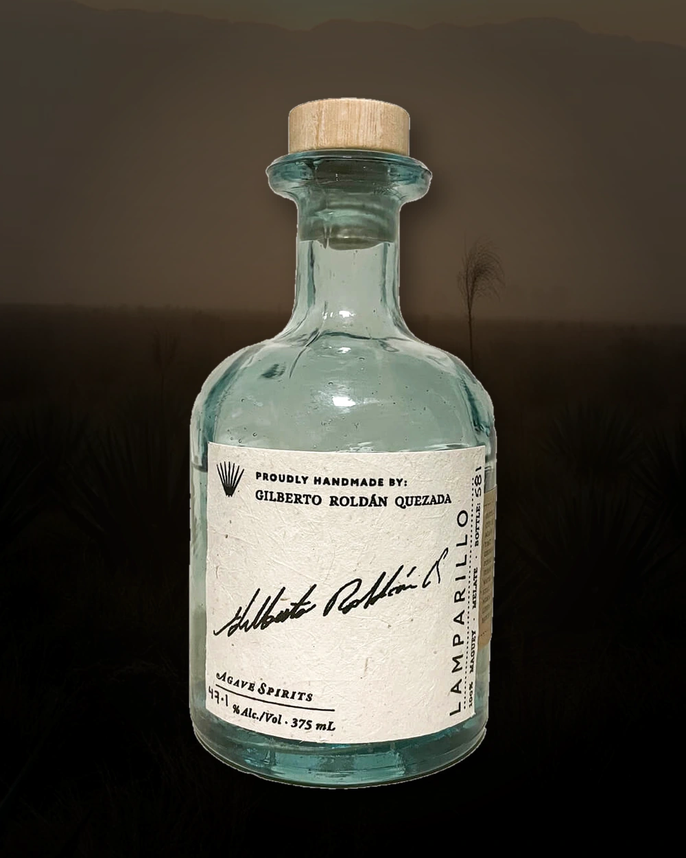 Maguey Melate Lamparillo – Gilberto Roldán