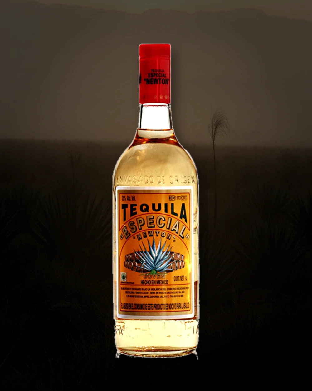 Especial Newton Joven bottle