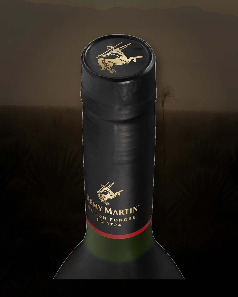 Rémy Martin VSOP bottle
