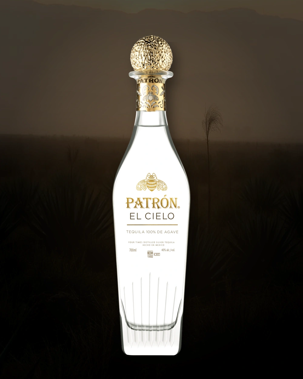 PATRÓN EL CIELO bottle