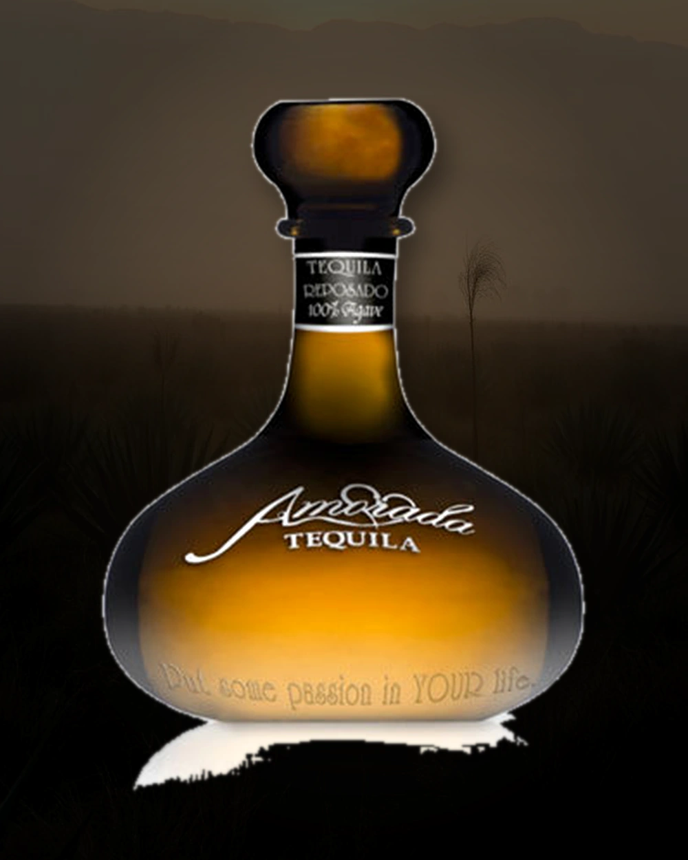 Amorada Tequila Reposado bottle