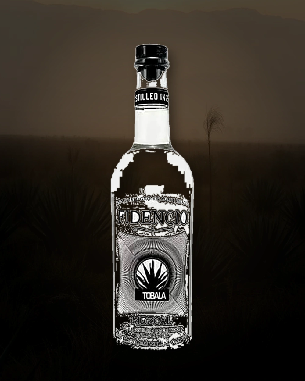 Fidencio Tobala bottle