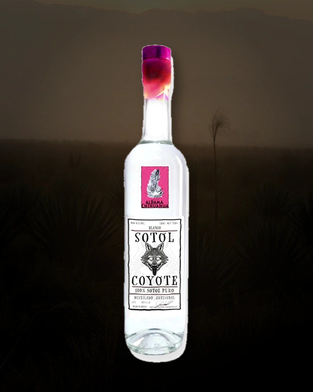 Coyote Sotol Chihuahua bottle
