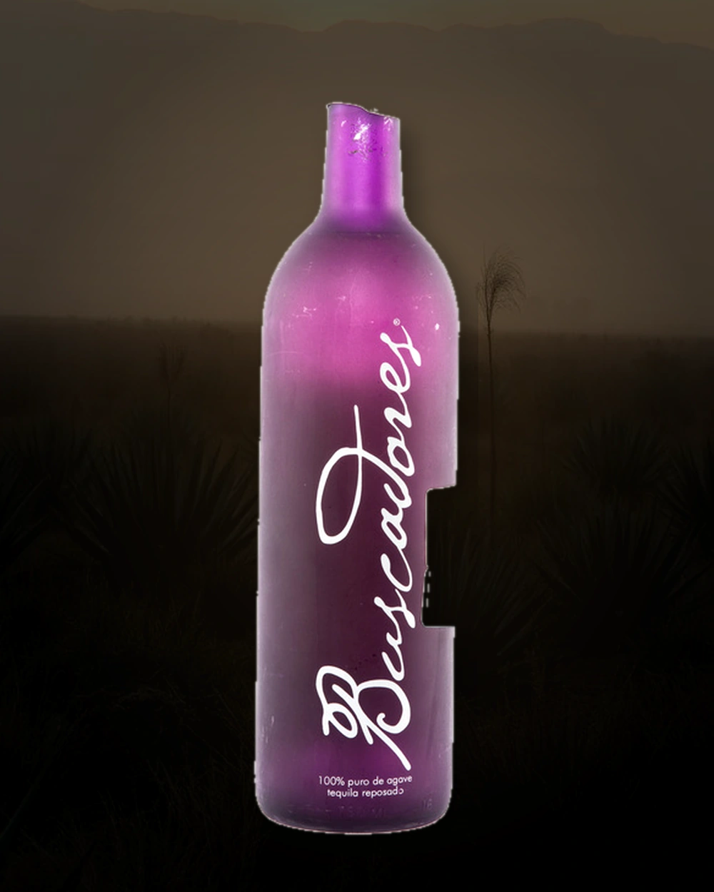 Buscadores Reposado bottle