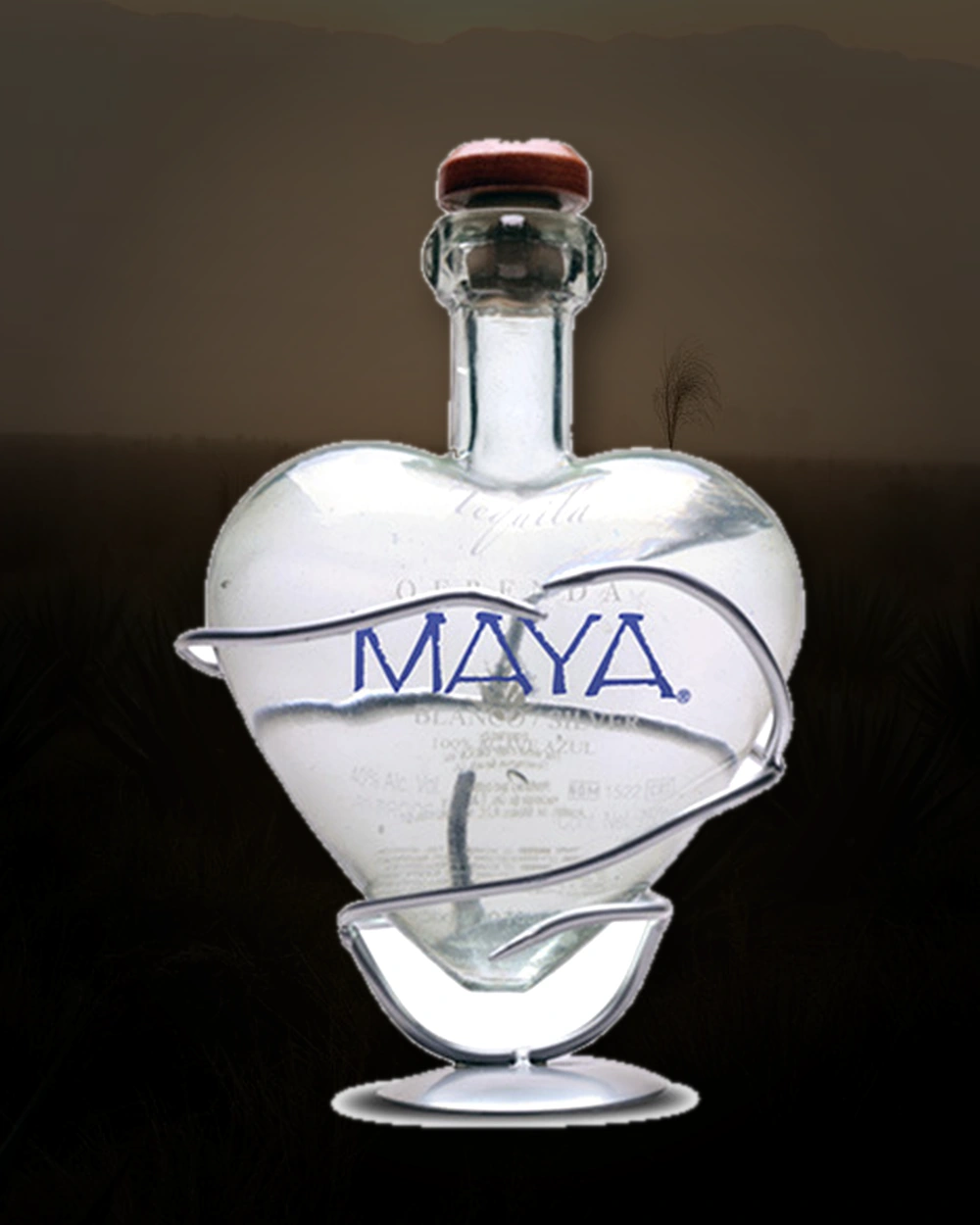 Ofrenda Maya Silver bottle