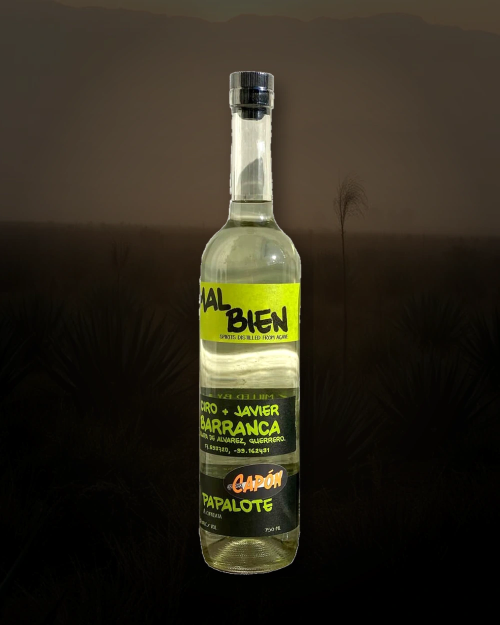 Mal Bien Papalote Capón – Calzada