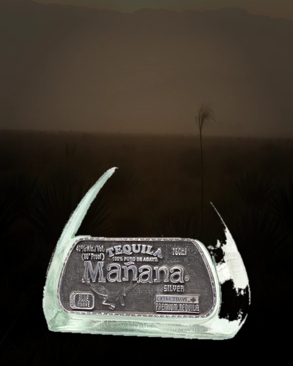 Mañana Silver bottle