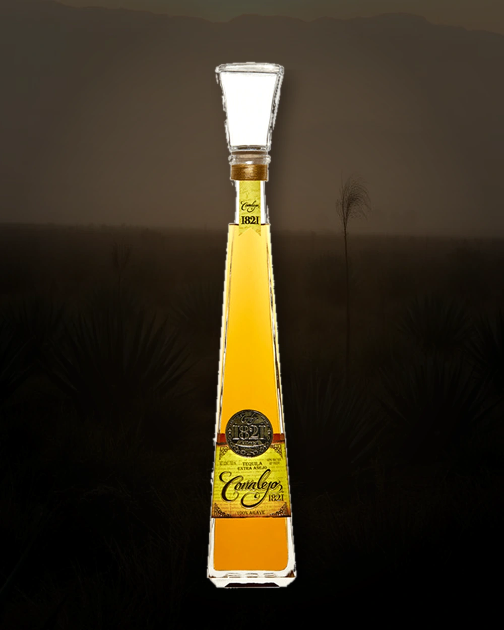 Corralejo 1821 Extra Añejo bottle