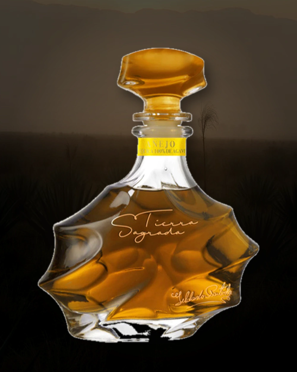 Tierra Sagrada Añejo bottle