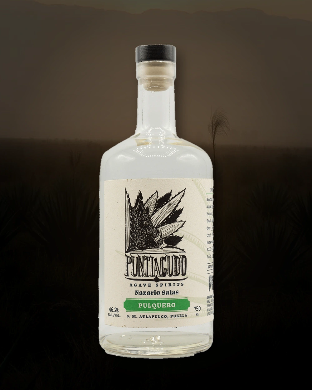 Puntiagudo Pulquero – Nazario Salas