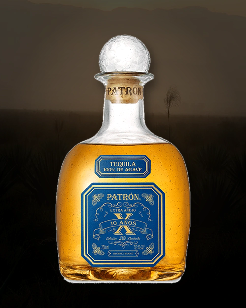 Patrón Extra Añejo 10 Años bottle